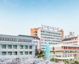 [선정] 아동학과 이주영 교수, 과학치안진흥센터 폴리스랩 R&D과제 선정